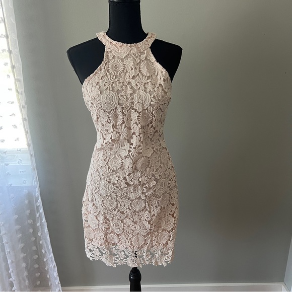 Love Poem Blush Pink Lace Mini Dress - Lulus - Picture 5 of 6